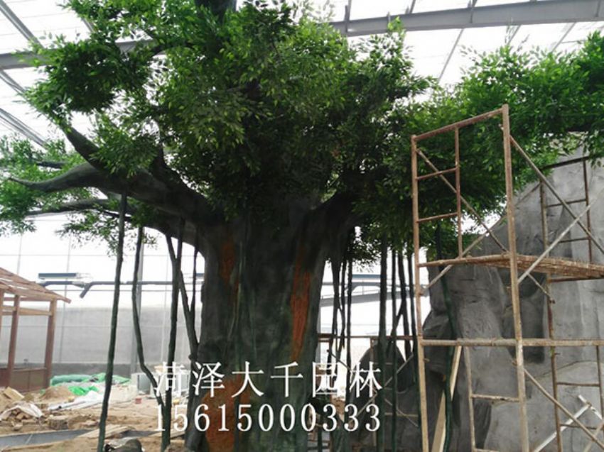 點(diǎn)擊查看詳細(xì)信息<br>標(biāo)題：假樹 閱讀次數(shù)：1547