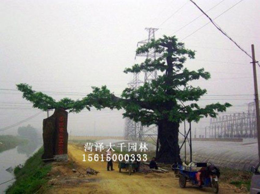 點(diǎn)擊查看詳細(xì)信息<br>標(biāo)題：假樹 閱讀次數(shù)：1461