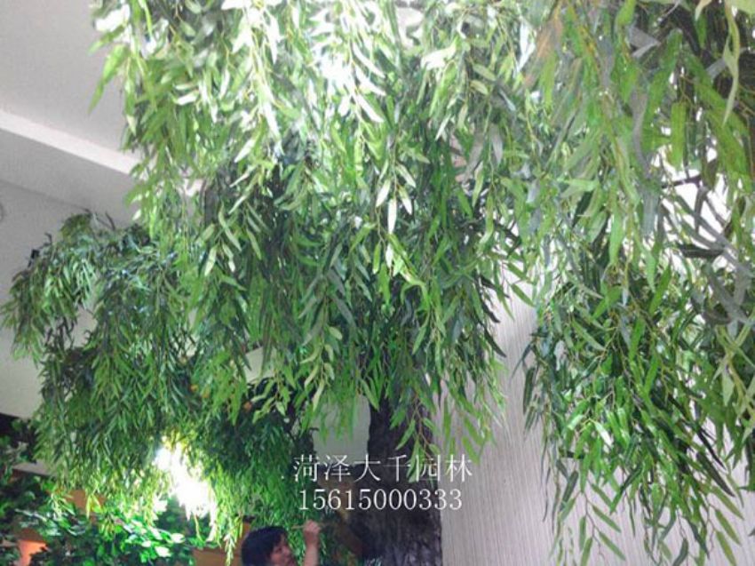 點(diǎn)擊查看詳細(xì)信息<br>標(biāo)題：假樹 閱讀次數(shù)：1478
