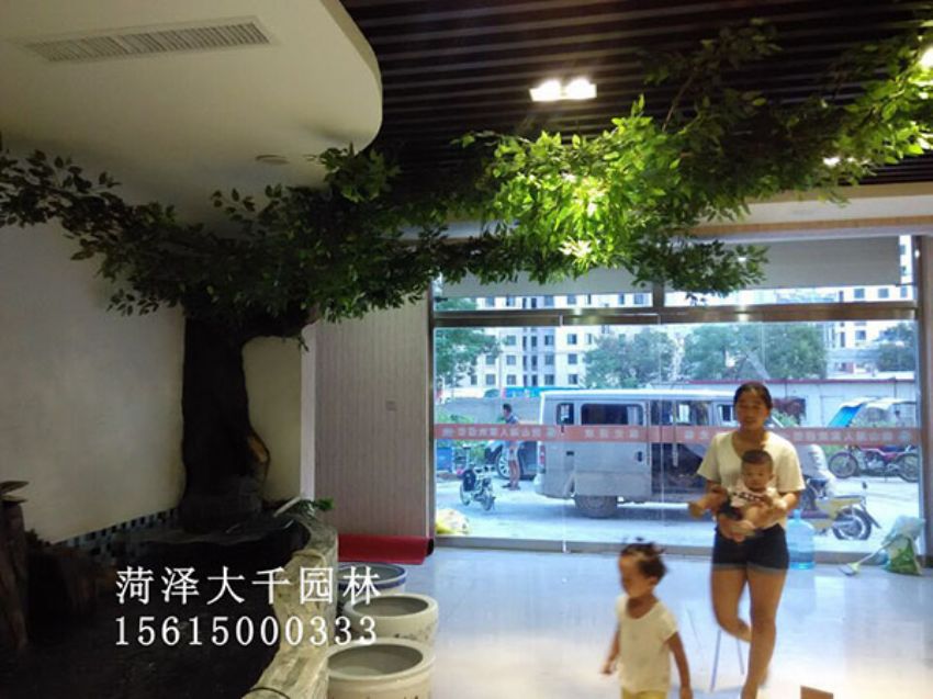 點(diǎn)擊查看詳細(xì)信息<br>標(biāo)題：假樹 閱讀次數(shù)：1507