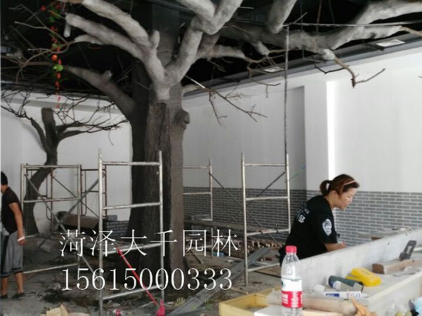 點(diǎn)擊查看詳細(xì)信息<br>標(biāo)題：假樹 閱讀次數(shù)：1482